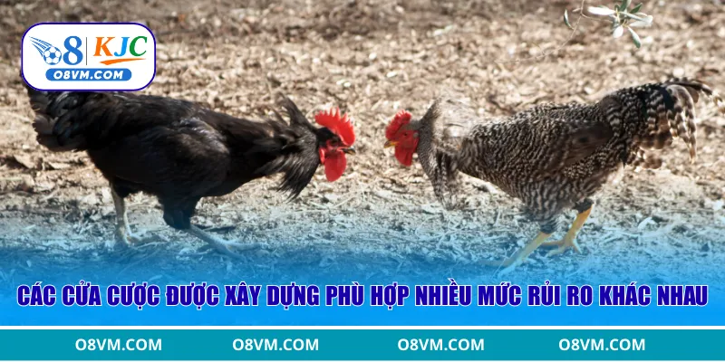 Các cửa cược được xây dựng phù hợp nhiều mức rủi ro khác nhau