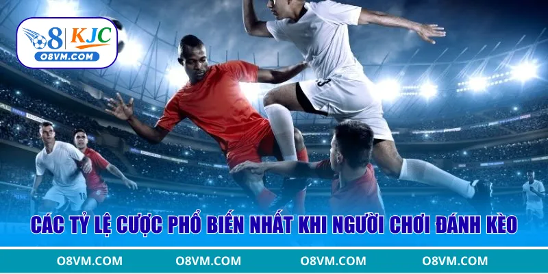 Các tỷ lệ cược phổ biến nhất khi người chơi đánh kèo